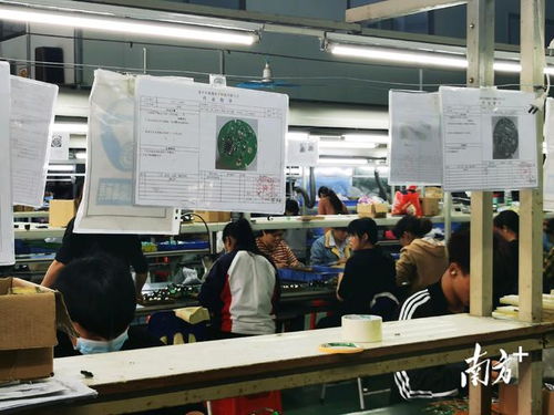 兵支書辦起電子加工廠，百名村民家門口就業增收